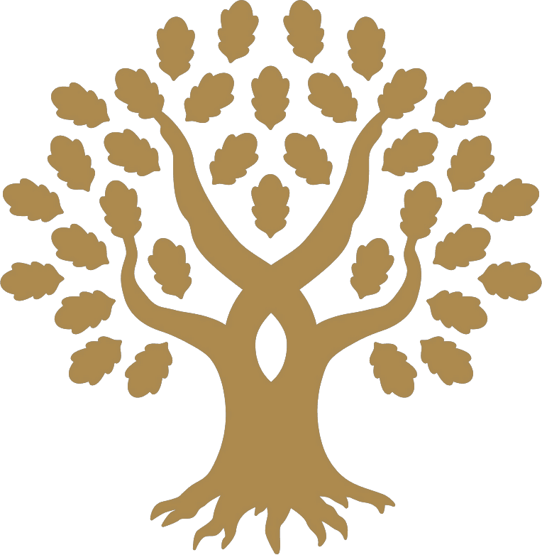 Universidad Panamericana